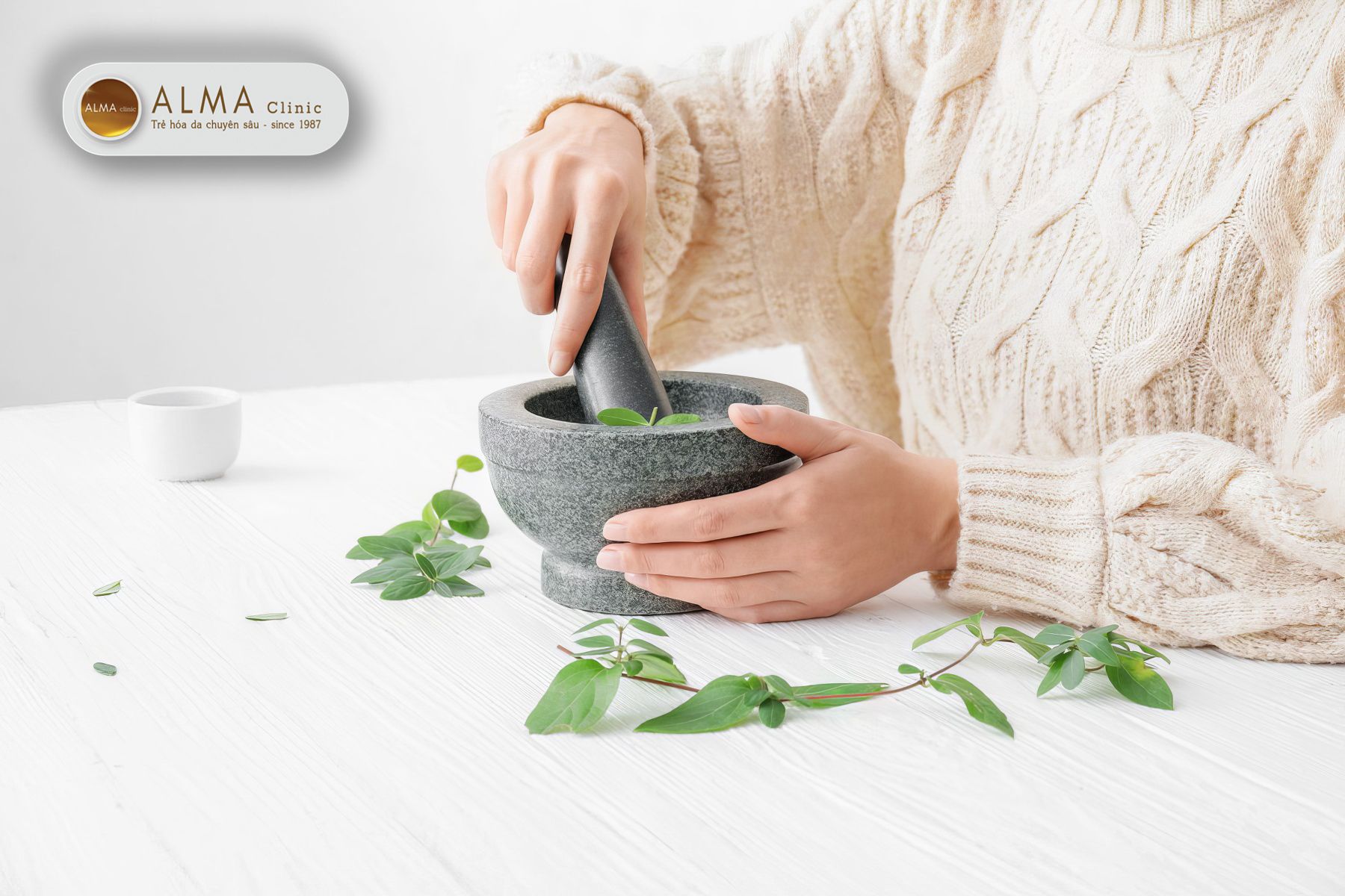 Lá nam trị nám - Khám phá bí quyết dân gian