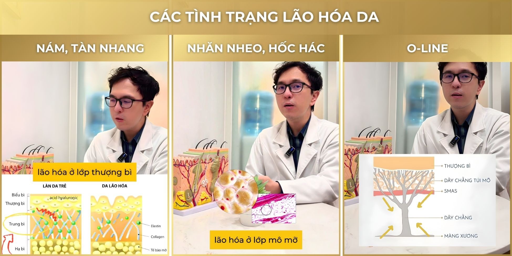 Phân tích lão hóa da