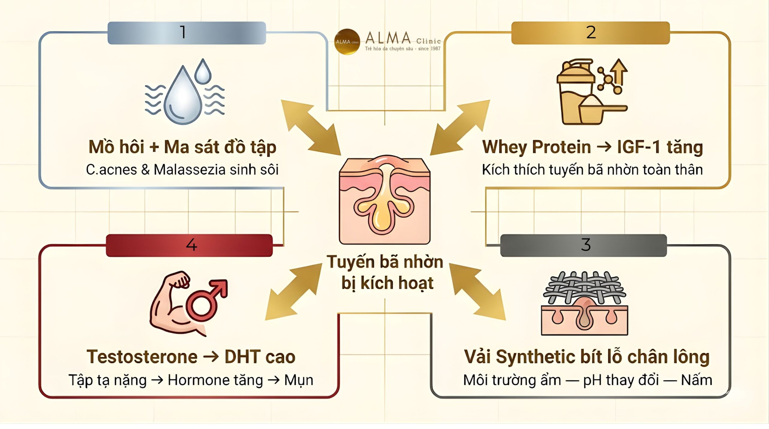 co che 4 nguyen nhan mun lung nguoi tap gym alma scaled 4 cơ chế gây mụn lưng ở người tập gym: mồ hôi ma sát, whey protein IGF-1, testosterone DHT và vải synthetic bít lỗ chân lông — không có yếu tố nào đơn lẻ, luôn là sự kết hợp