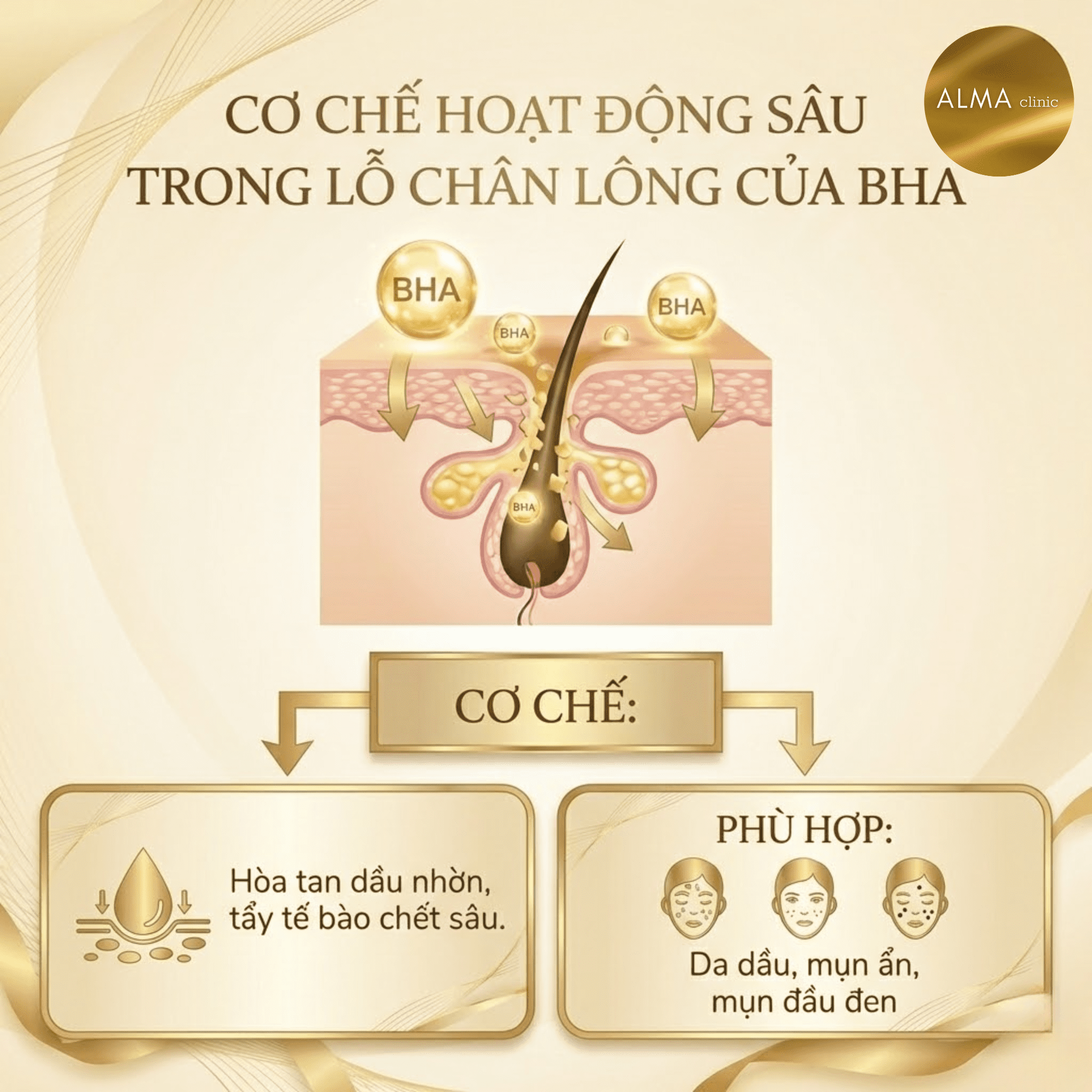 Salicylic Acid BHA thấm sâu vào lỗ chân lông để hòa tan dầu thừa và tế bào chết